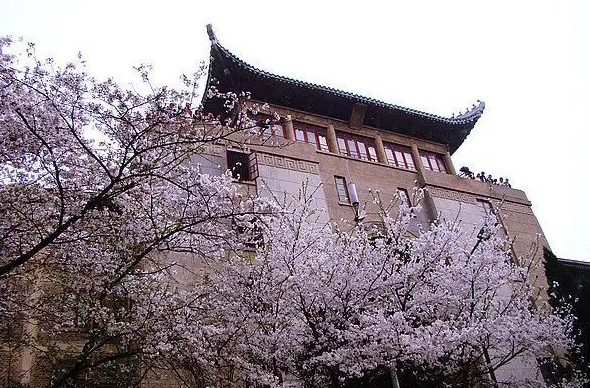 2011年小夥入讀武漢大學畢業時卻蒙了武大沒錄取你啊