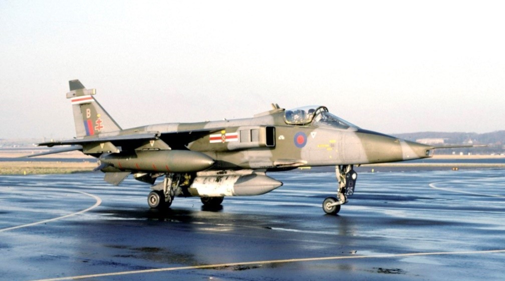 聊聊"美洲虎":生在欧洲,扬名非洲,最后活在亚洲的美洲大猫