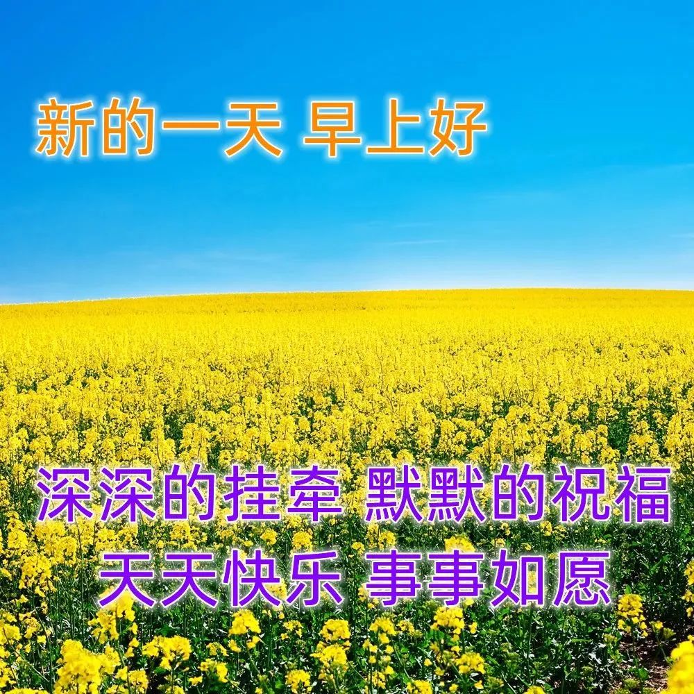 最美早上好问候语短信祝福带图片,朋友圈新版早晨好动态图片