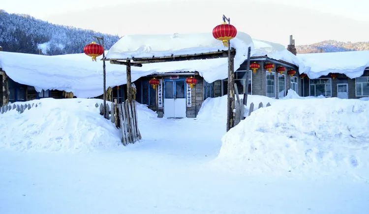 寒冬腊月雪满天,东北雾凇雪景分外绕