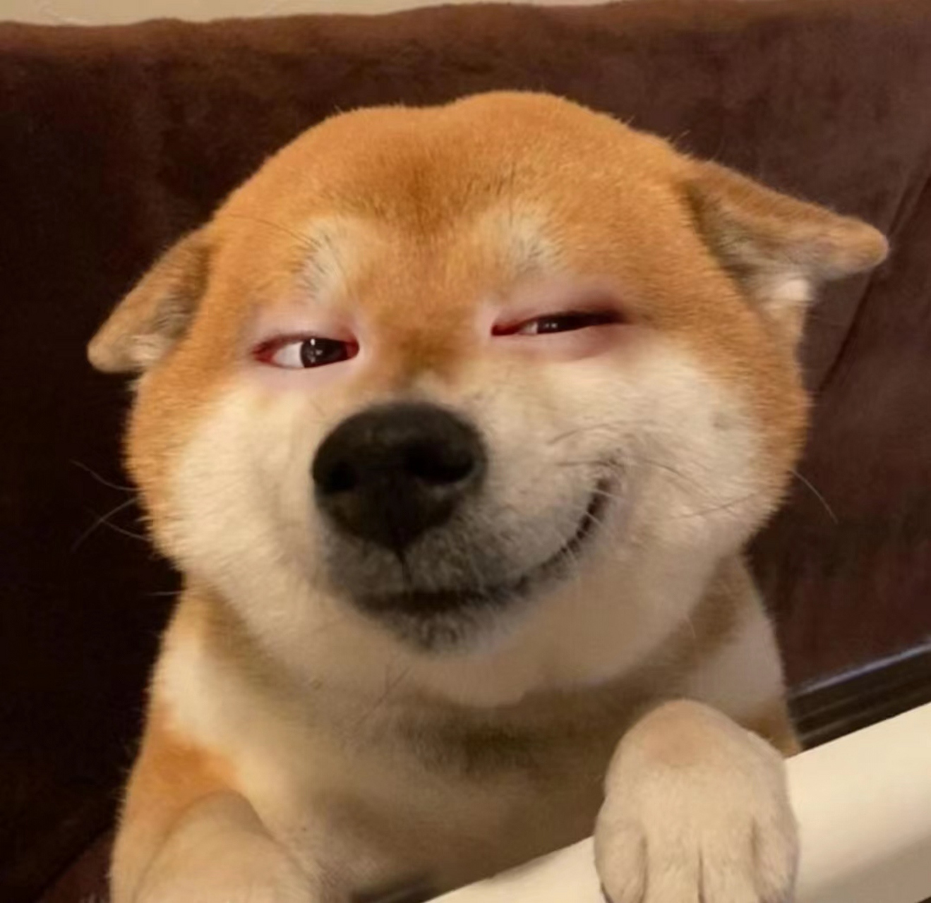 水瓶:那就这样吧  处女:不删我怕我继续犯贱找你  射手: 反正不聊天