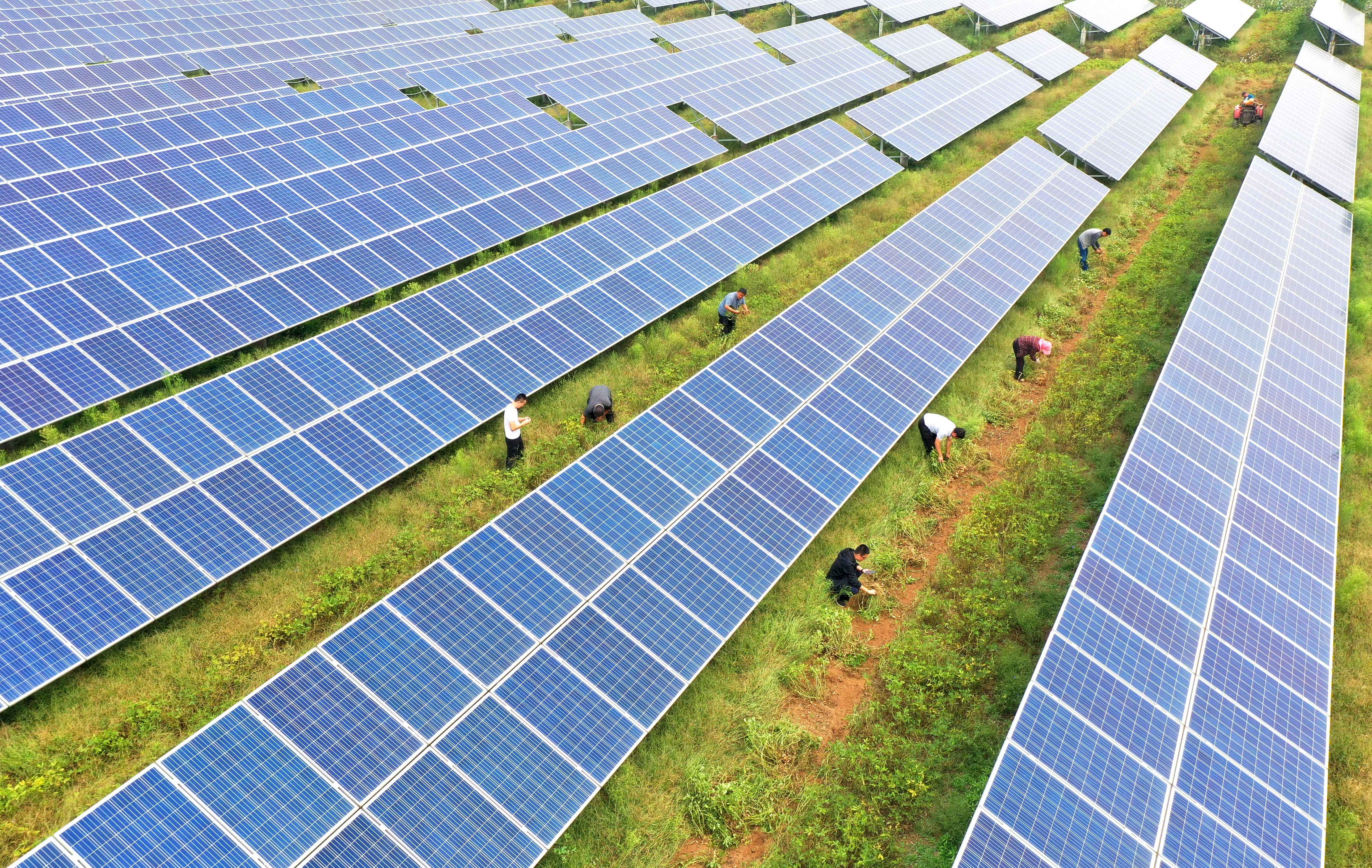 河北曲周:"农光互补"助农增收