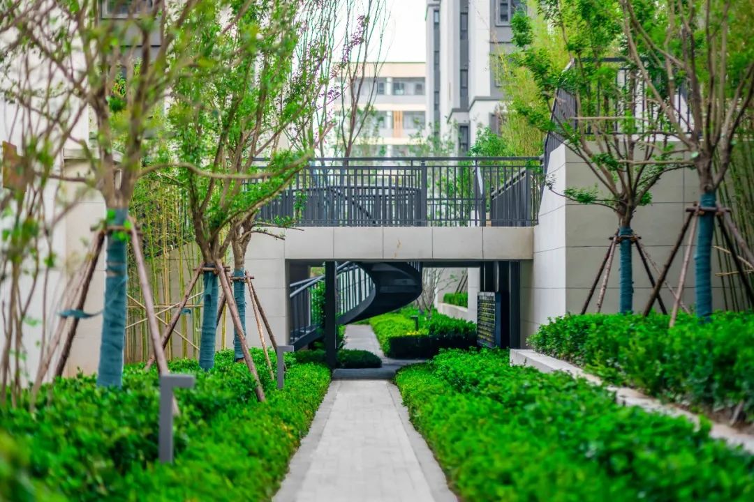 让时光沉浸于浪漫里|新城控股·巩义新城西岸公园