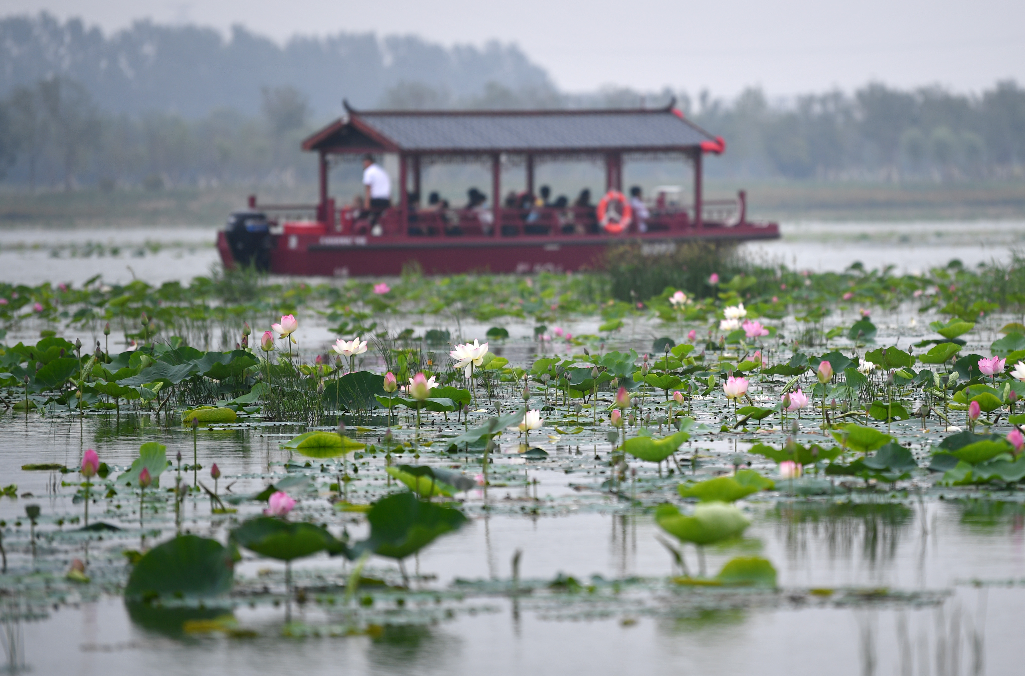 天津:曙光水镇展现美丽乡村(1)