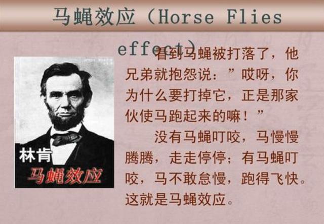 孩子"懒惰不上进"怎么办,巧用"马蝇效应",孩子会越来越自律