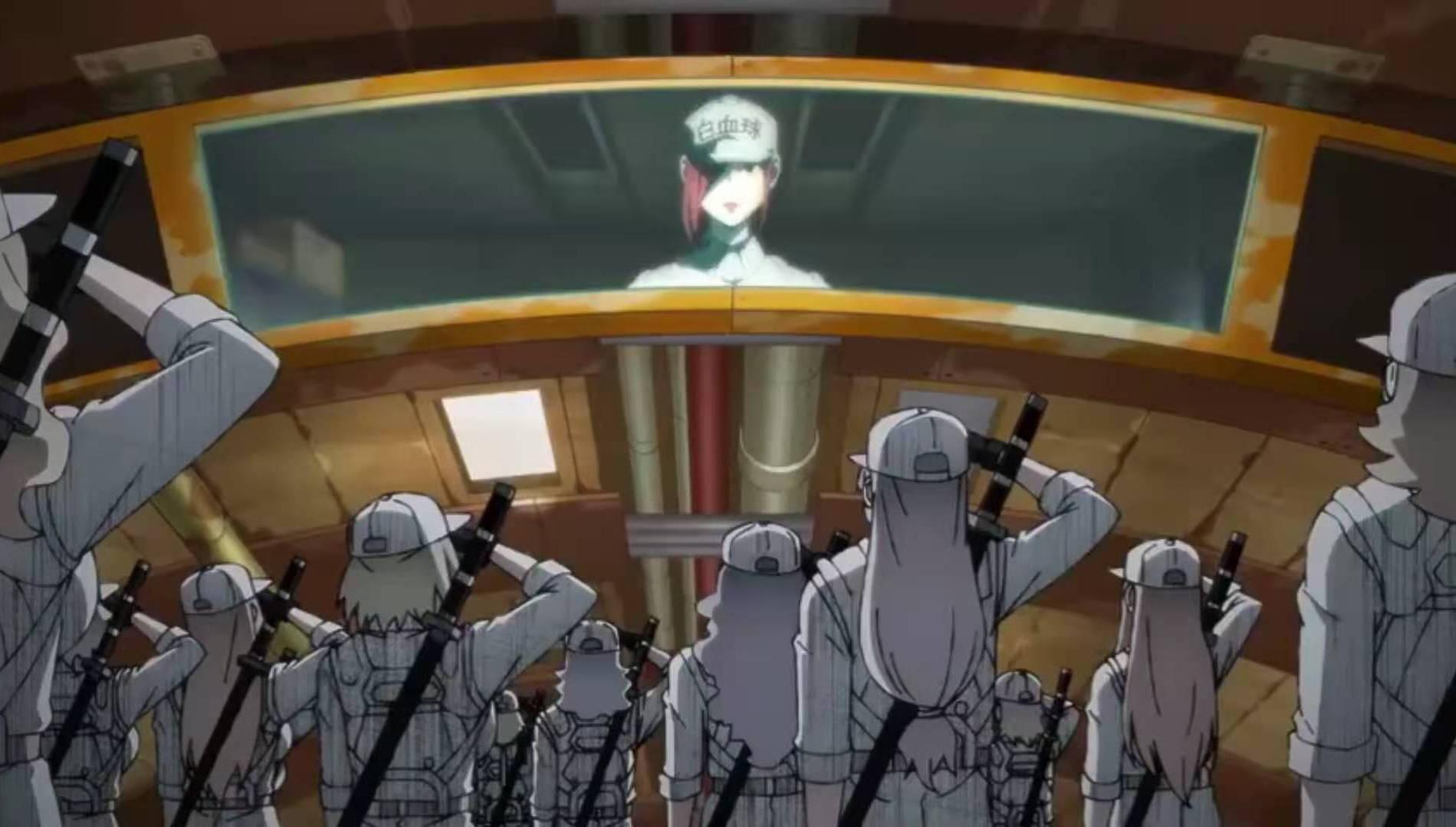 《工作细胞black》与原版对比,性别转换没啥,白细胞请穿好衣服