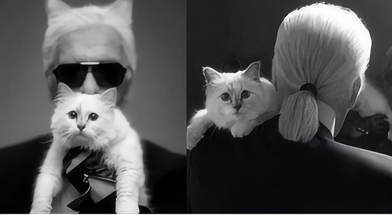 时尚老佛爷77岁爱上一只猫留给它2亿美元遗产后来怎样了