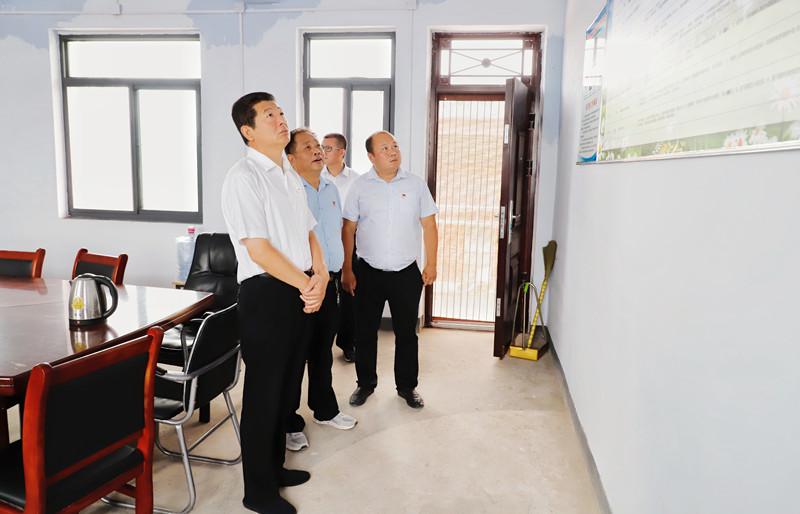 王宝玉到林州横水镇督导调研脱贫攻坚和清洁家园工作