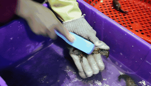 家务警惕！女子手背长出大窟窿差点截肢！竟是因为做这个家务活