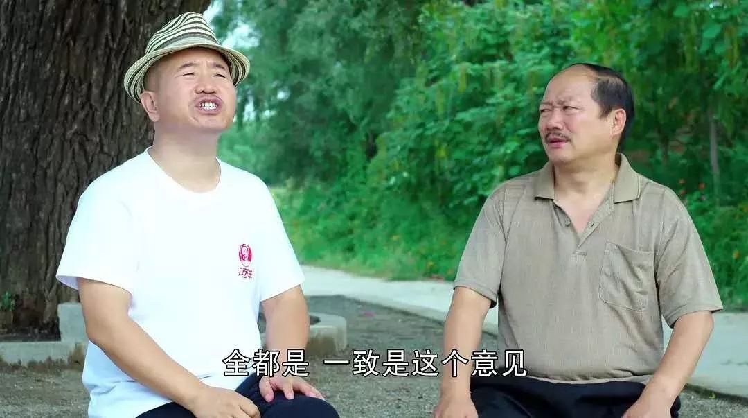 《乡村爱情12》关于