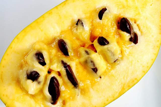 泡泡果(pawpaw)是什么?