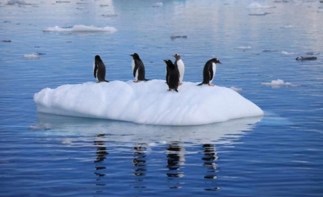 南极最大的冰川正在解体!一个冰川融化,就能让海平面上升3米?