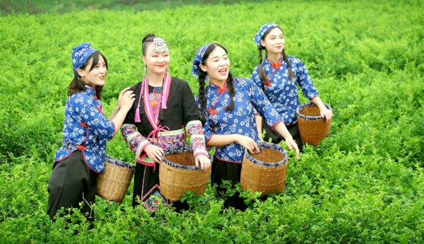 《你莫走》原唱山水组合担任张家界莓茶公益形象大使