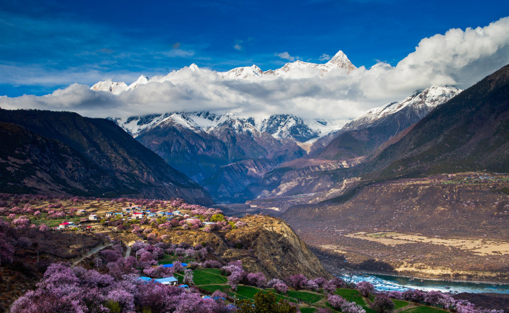 林芝的春天:雪山脚下,云雾之中的粉嫩桃花