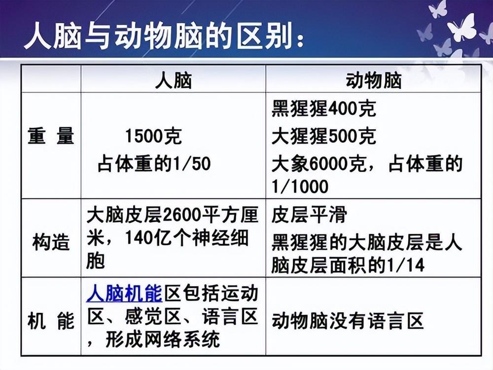 人与动物最本质的区别是什么?这篇文章告诉你