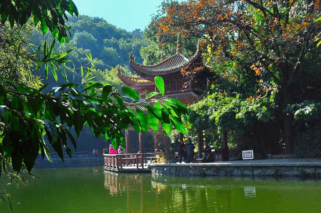 二环里的"诗和远方"——长沙南郊公园五一打卡攻略:民宿,美食,萌宠