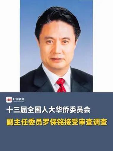 十三届全国人大华侨委员会副主任委员罗保铭接受审查调查