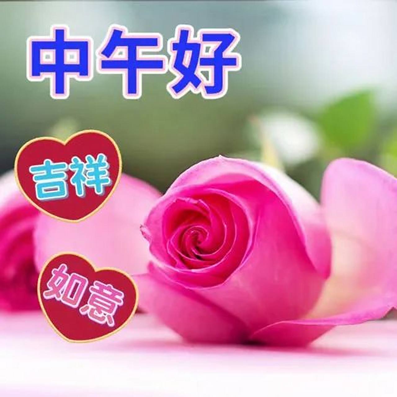 中午好最新表情图片大全,午安问候图片 中午好,忙碌的工作和生活中