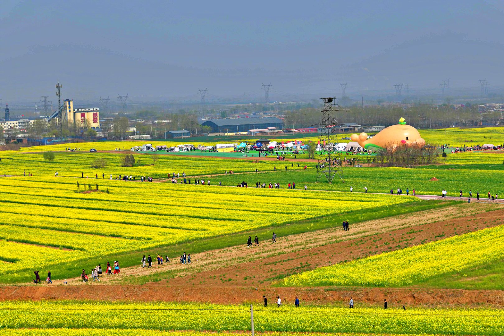 赏万亩金黄何必远去婺源!邢台金沙河红薯岭油菜花赏花季正式启动