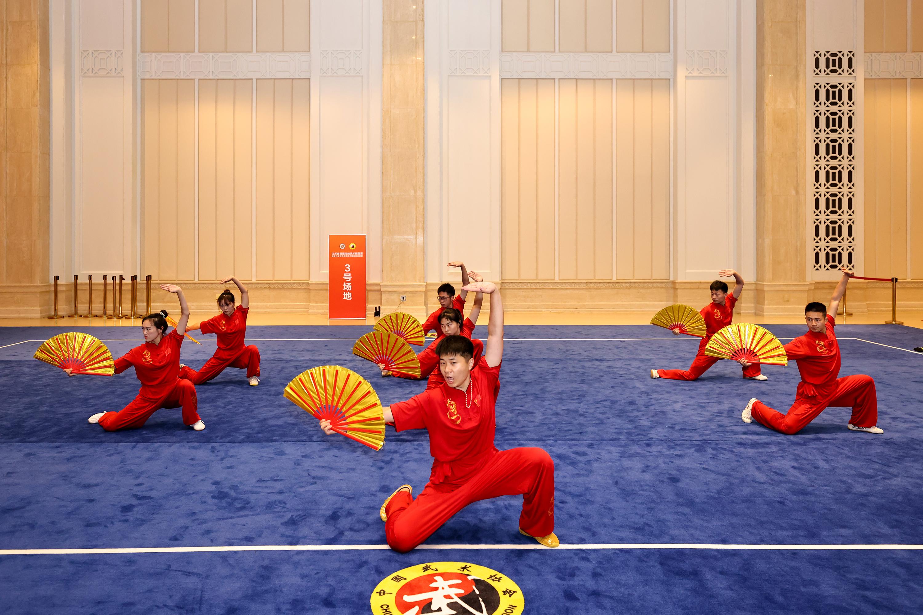 江苏省首届传统武术精英赛在海澜飞马水城圆满落幕