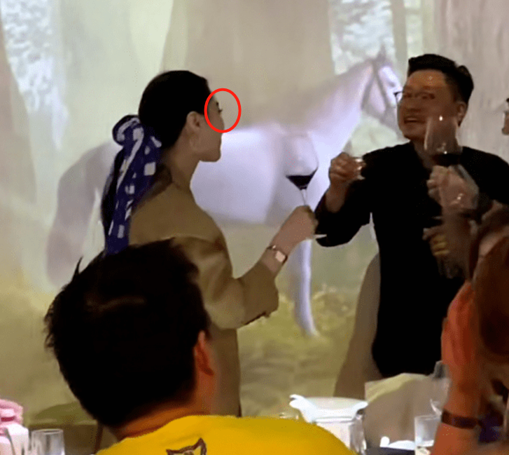 范冰冰与男子酒局热聊被拍!应酬敬酒动作熟练,爸爸坐一旁不理会