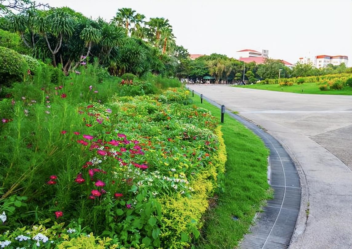绿化带是提供绿色有机植物的条状地带,有专门的功用,是城市文明的醒目