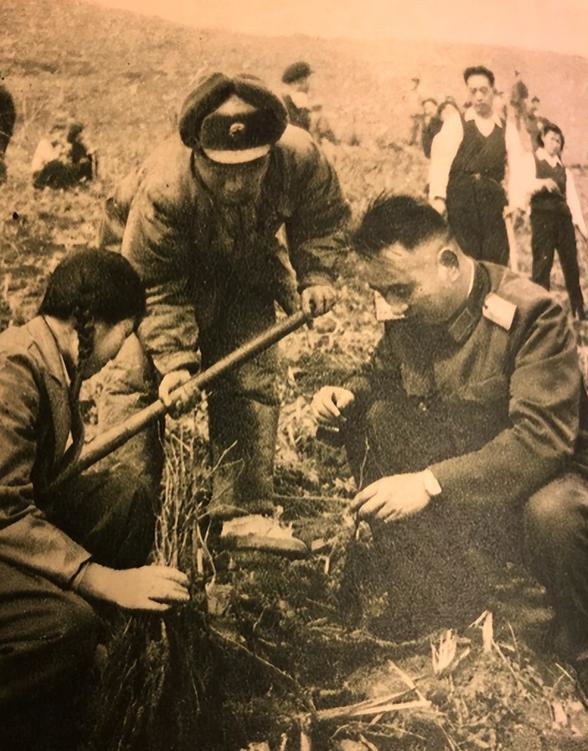 1975年,郭林祥调新疆军区担任政委后,杨勇对他极为欢迎
