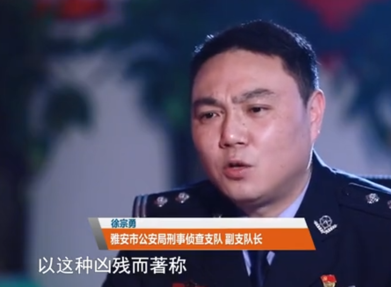 汉源王伟案判决书图片