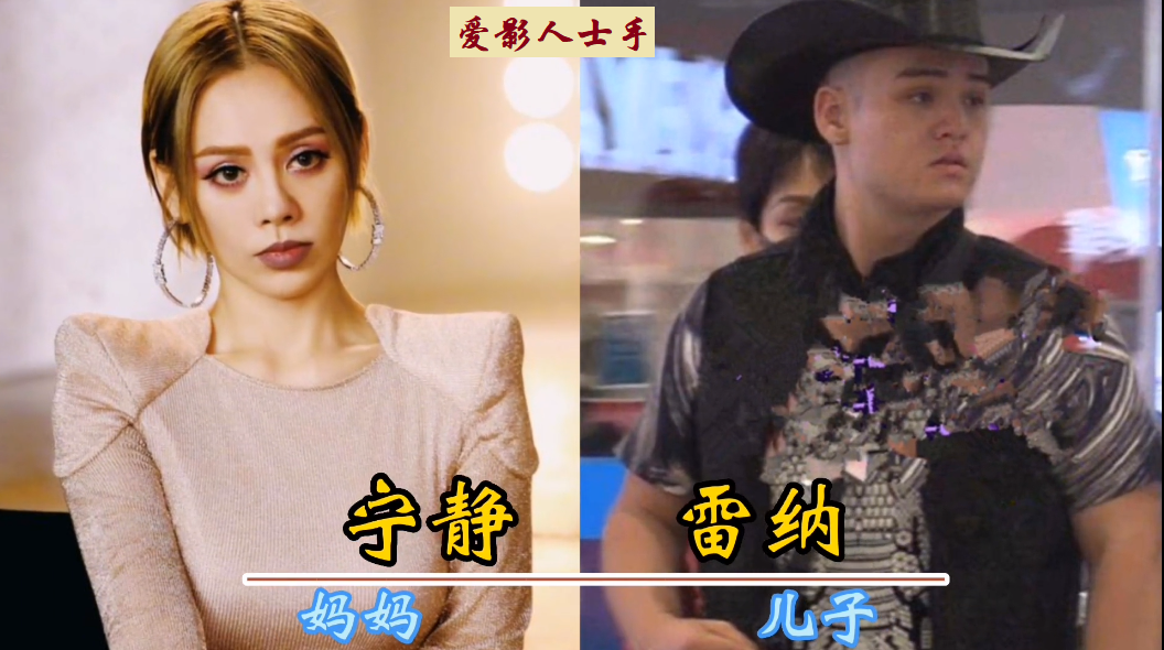 宁静的前夫是来自英国的演员保罗,两人的儿子雷纳是典型的混血儿.