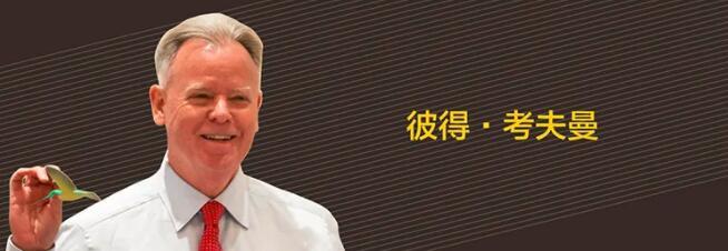 彼得·考夫曼总结说