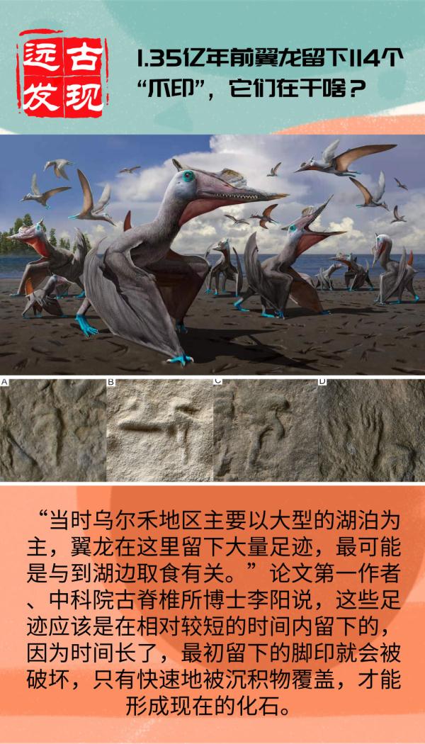 1.35亿年前翼龙留下114个"爪印,它们在干啥?