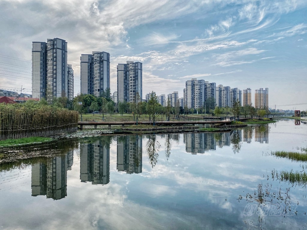 光影里的郸城之美(十八):四季皆美景 家乡是郸城