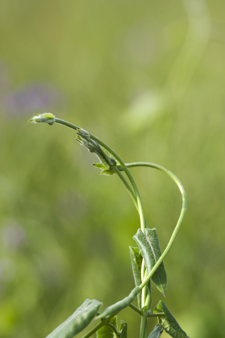 一个独生子女的家庭,晚年需要考虑哪些后顾之忧?