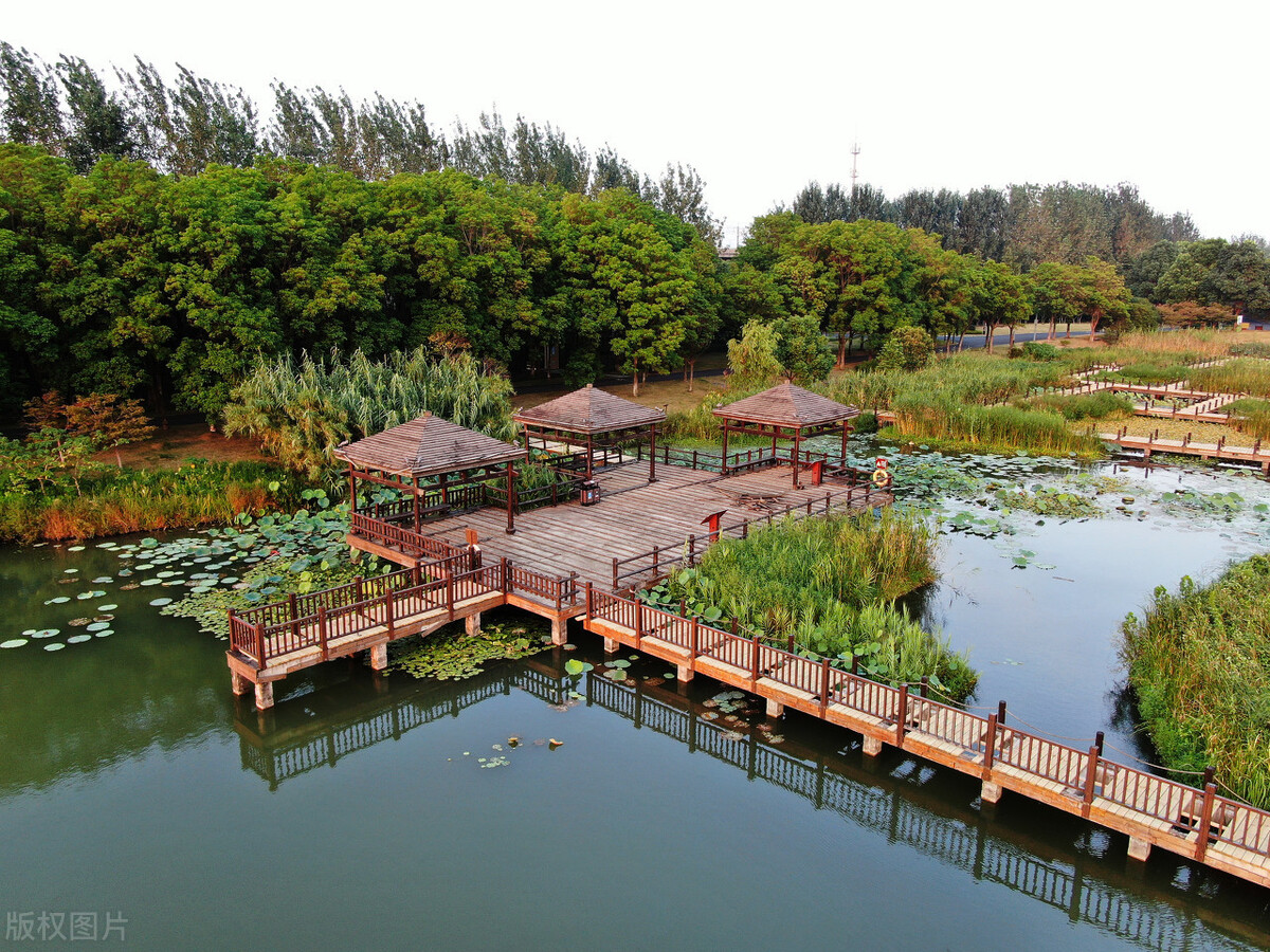 航拍江苏昆山花桥经济开发区辖区内的天福国家湿地公园