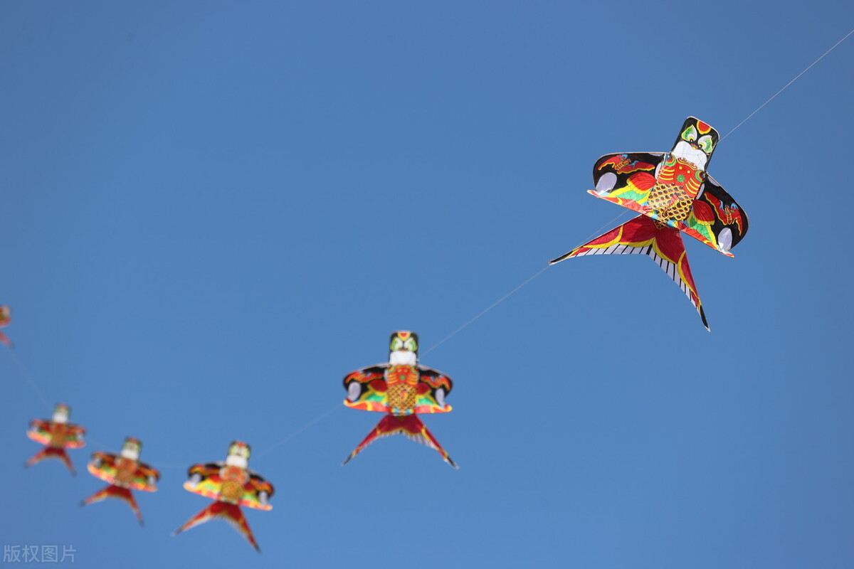 河南许昌,风筝爱好者在放飞风筝