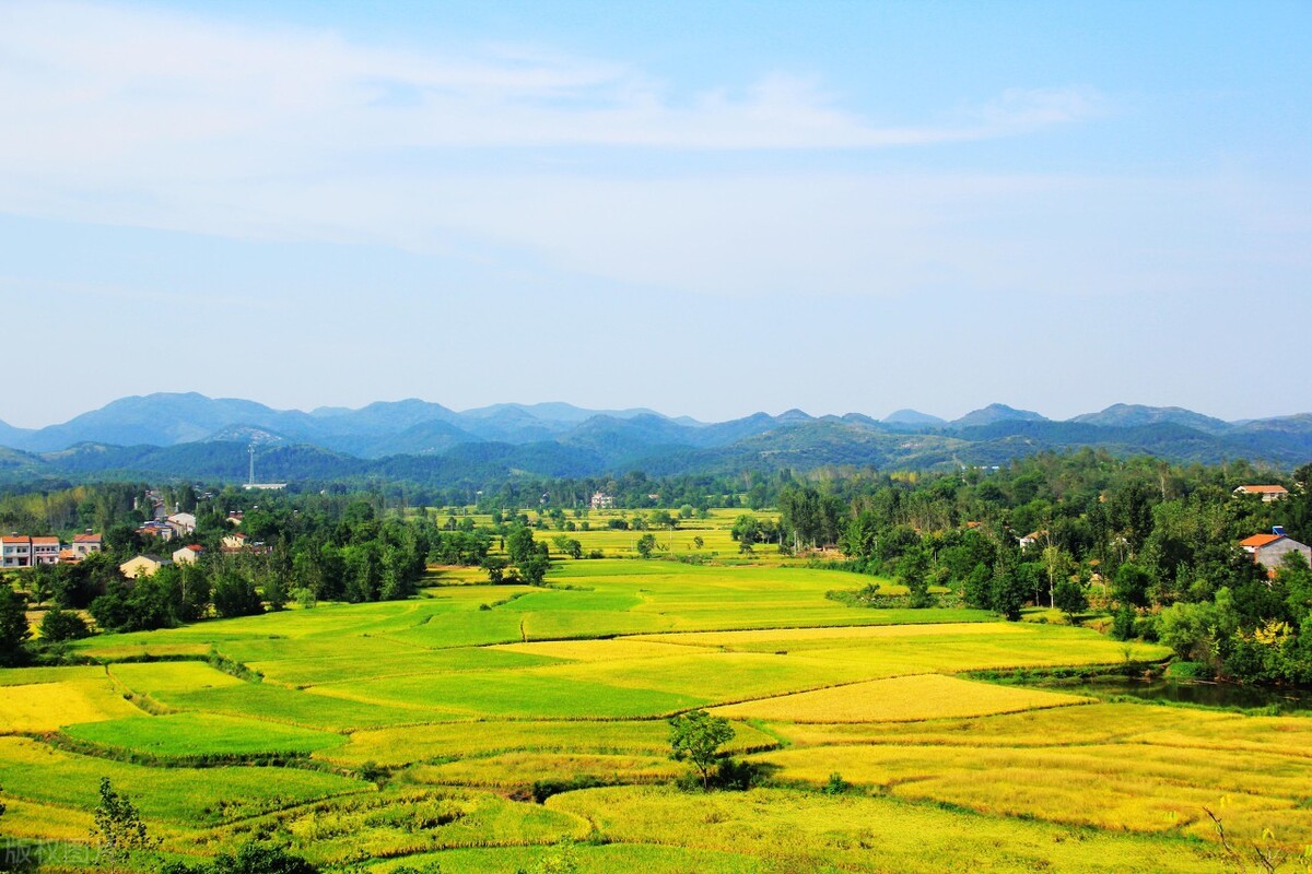 湖北寻根,我从哪里来?鄱阳湖瓦屑坝,南昌筷子巷