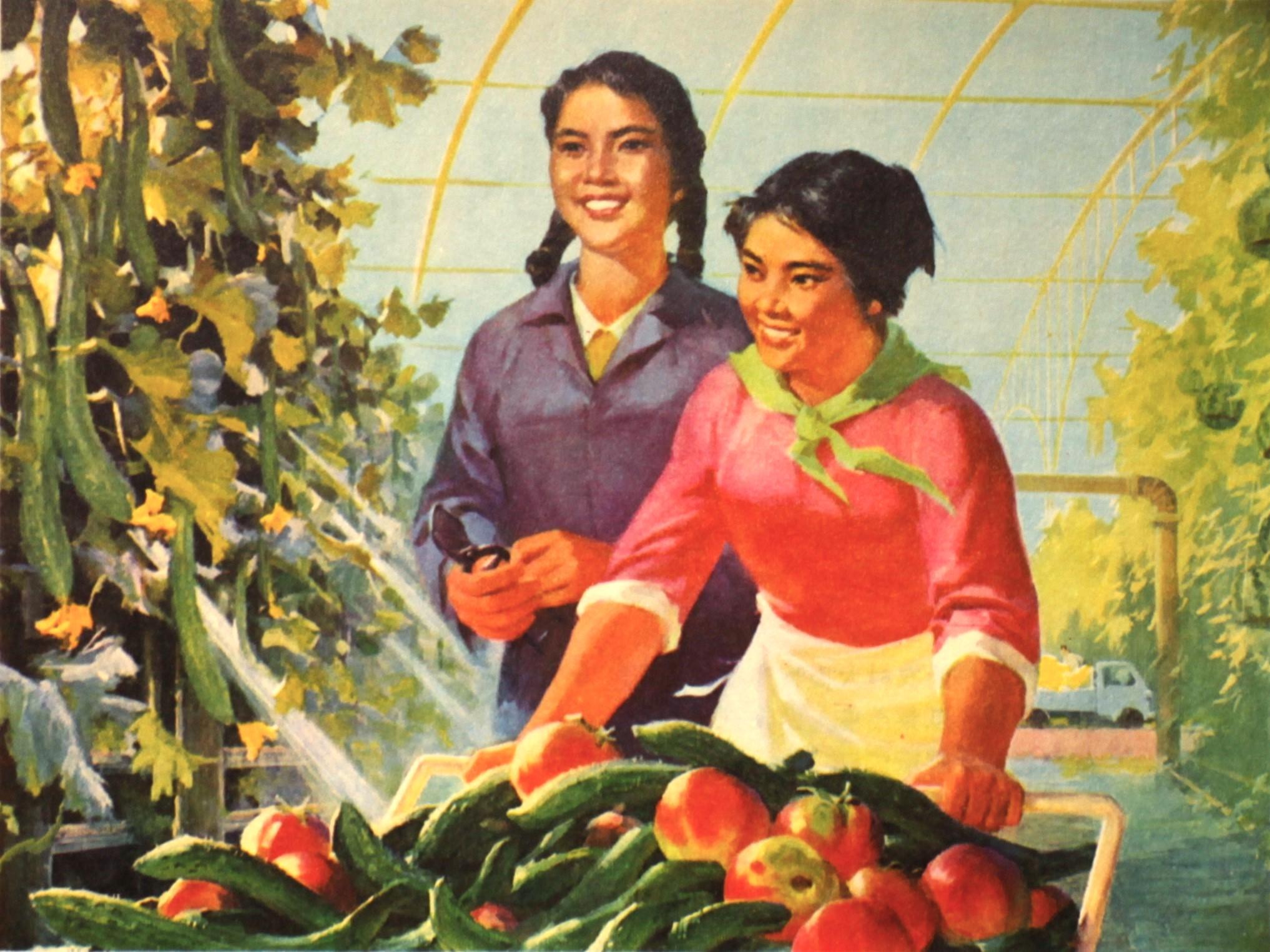 多姿又多彩,20张80年代怀旧经典年画,教科书插画的典范之作