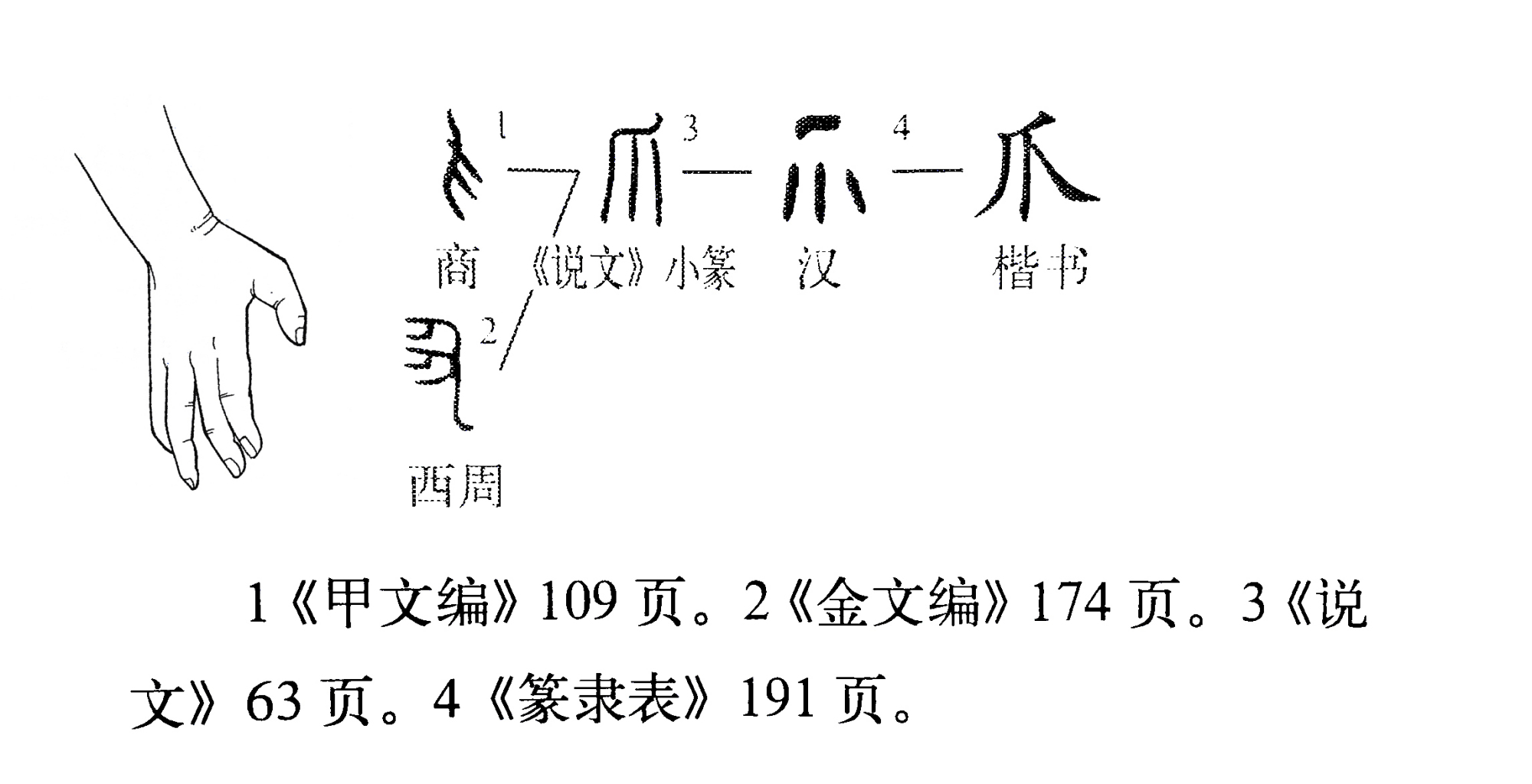 《说文解字》537课:细说"爪"字,成语雪泥鸿爪中"爪"字何义