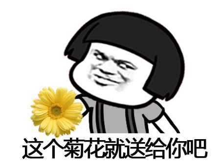 白菊花表情包图片