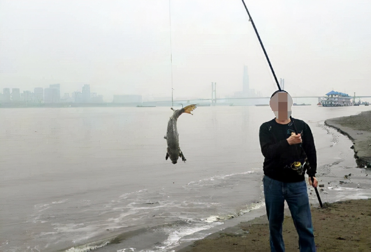 山东要对可视锚鱼"动真格",聊城是排头兵,为何说"困难重重"