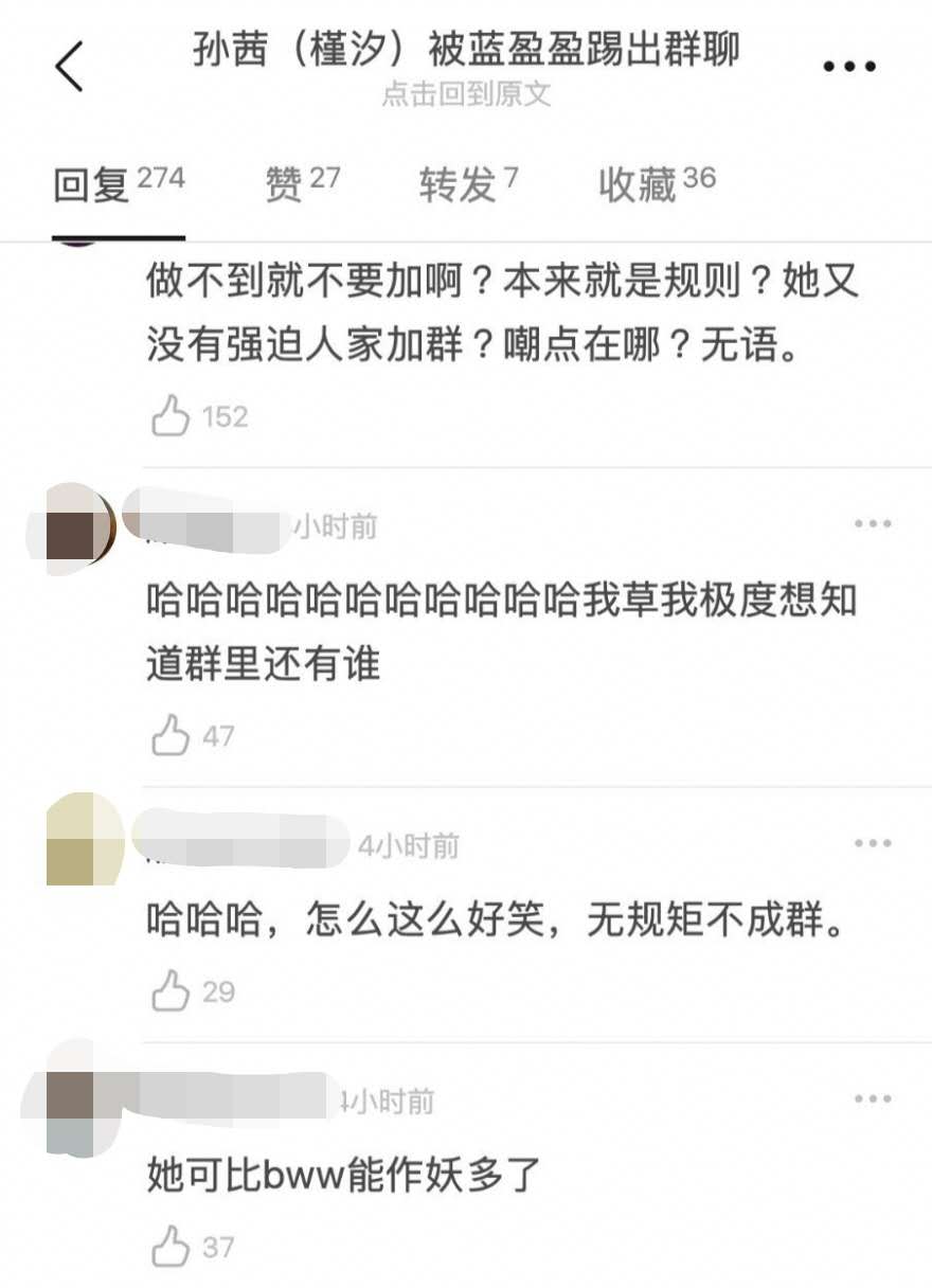 孙茜被蓝盈莹踢出群聊图片