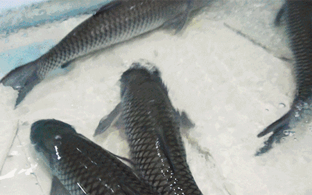 建议大家:春天出门游玩就去这地方,花香草青,别错过