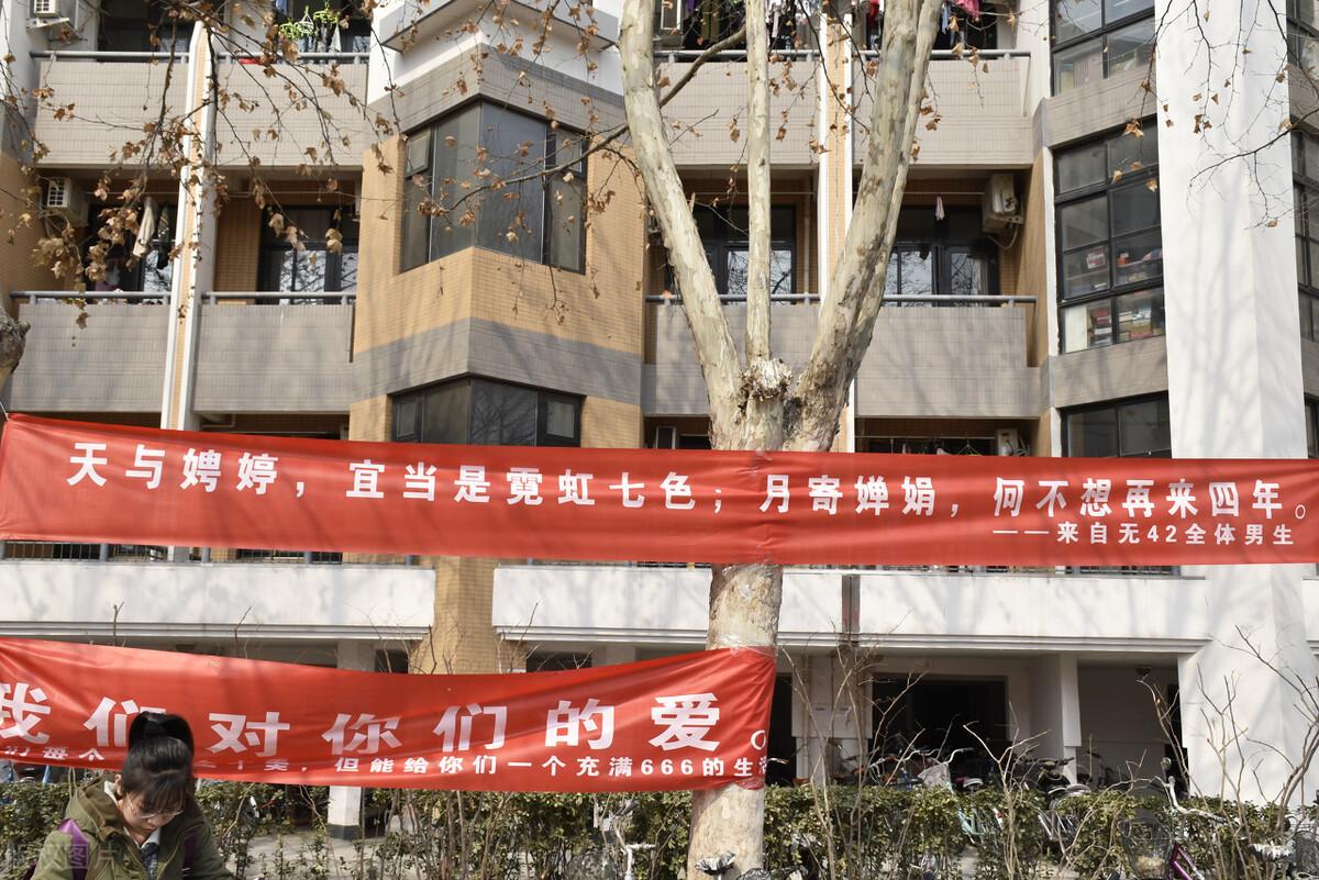 大学校园表白合集,这大概就是爱情最美好的样子!