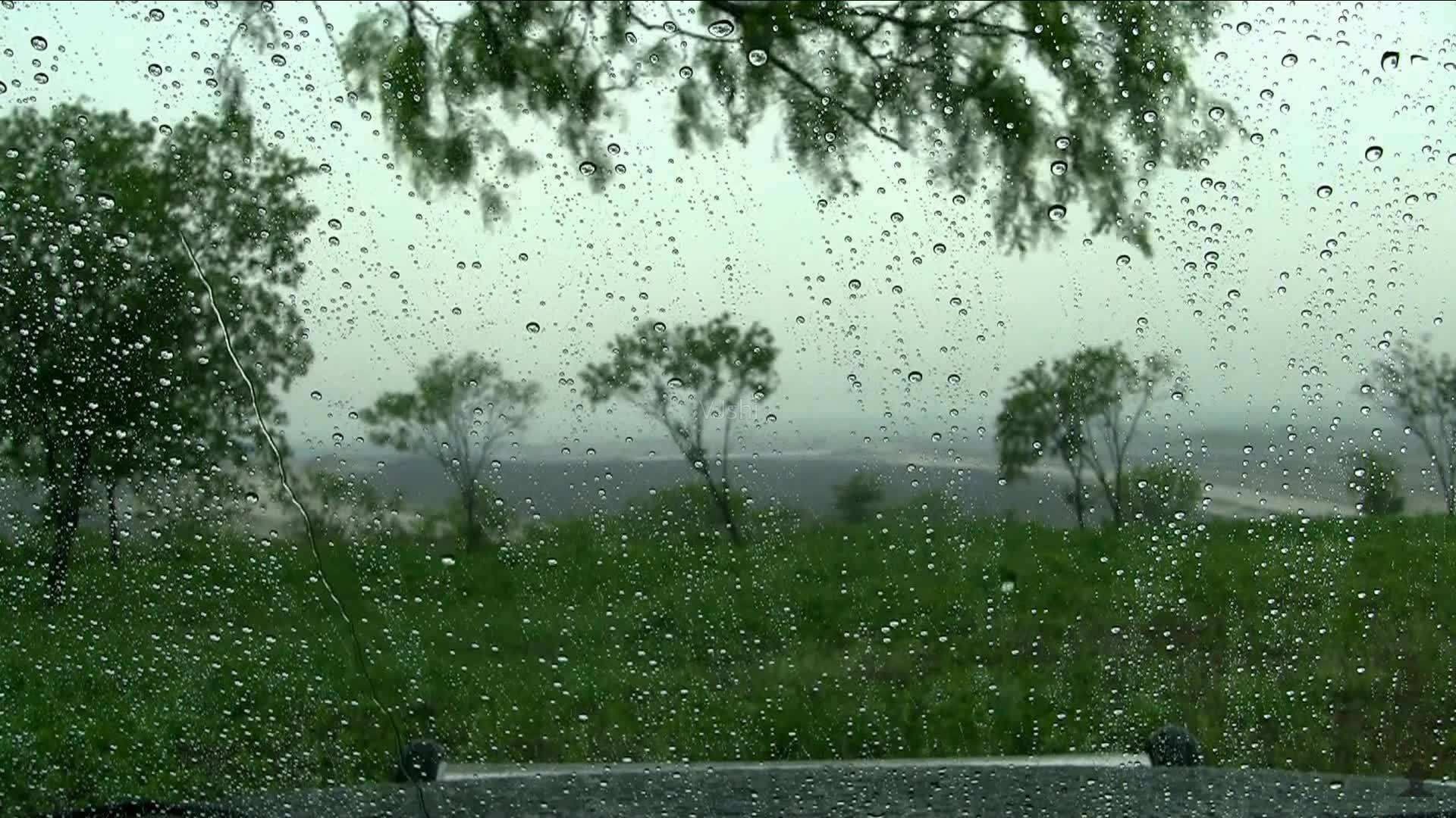 心理测试:你觉得哪个下雨的场景最浪漫?测下你今年会有什么好事
