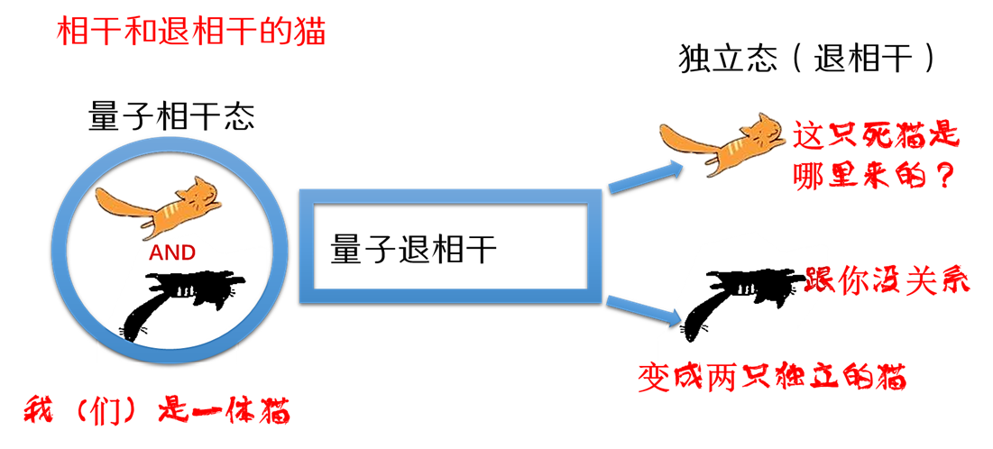 微观相干量子退相干,宏观相见相识再分别,两个世界边界在哪里?