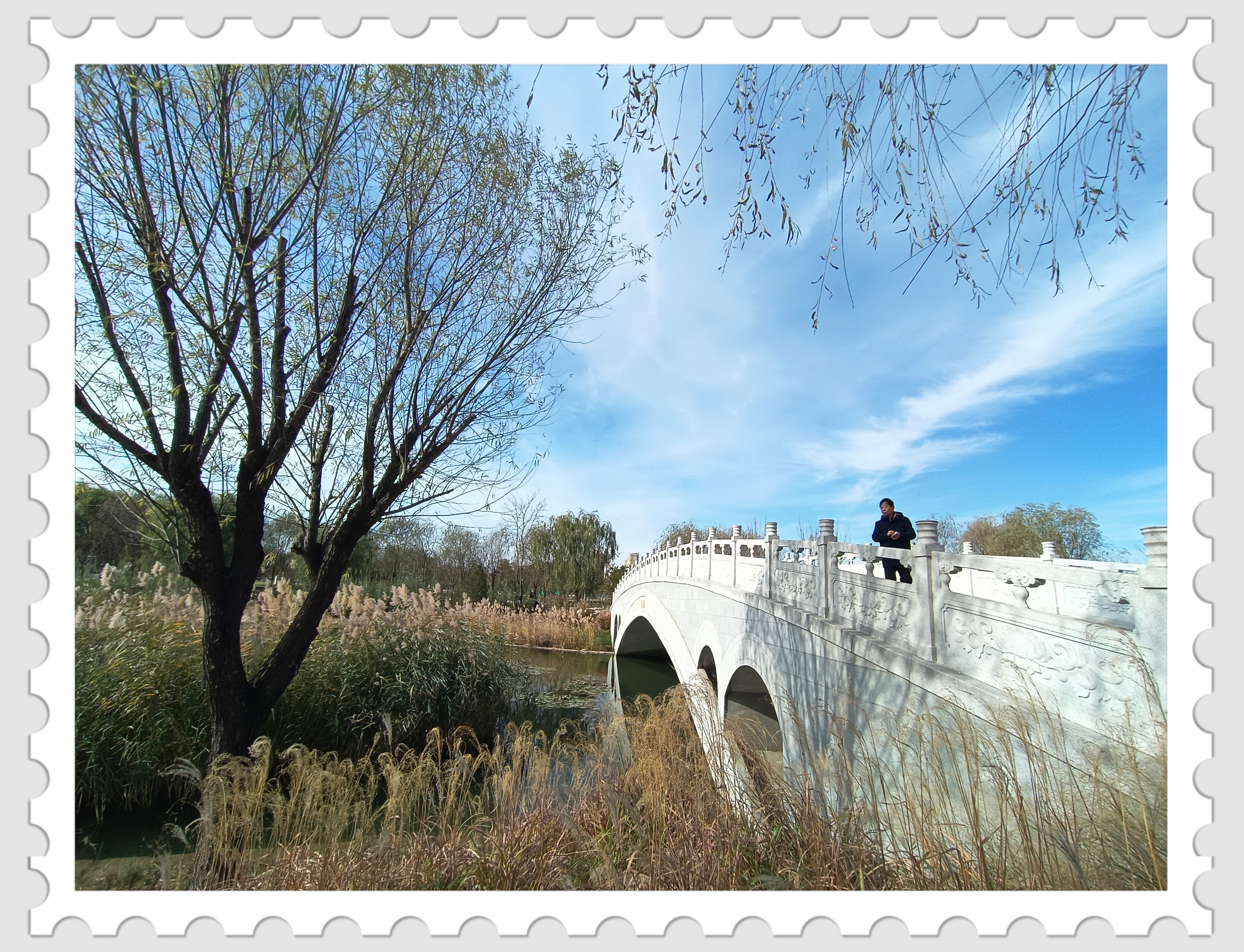 游通州绿心森林公园丨杨俊亮