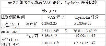 草乌甲素片联合筋骨痛消丸治疗早中期膝骨关节炎