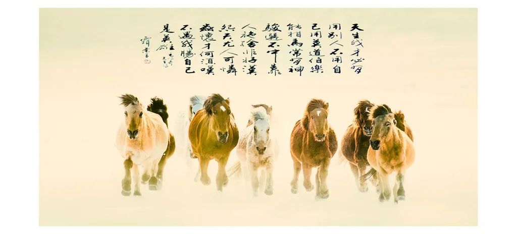 国际旅游摄影网摄影师风采->徐生彬