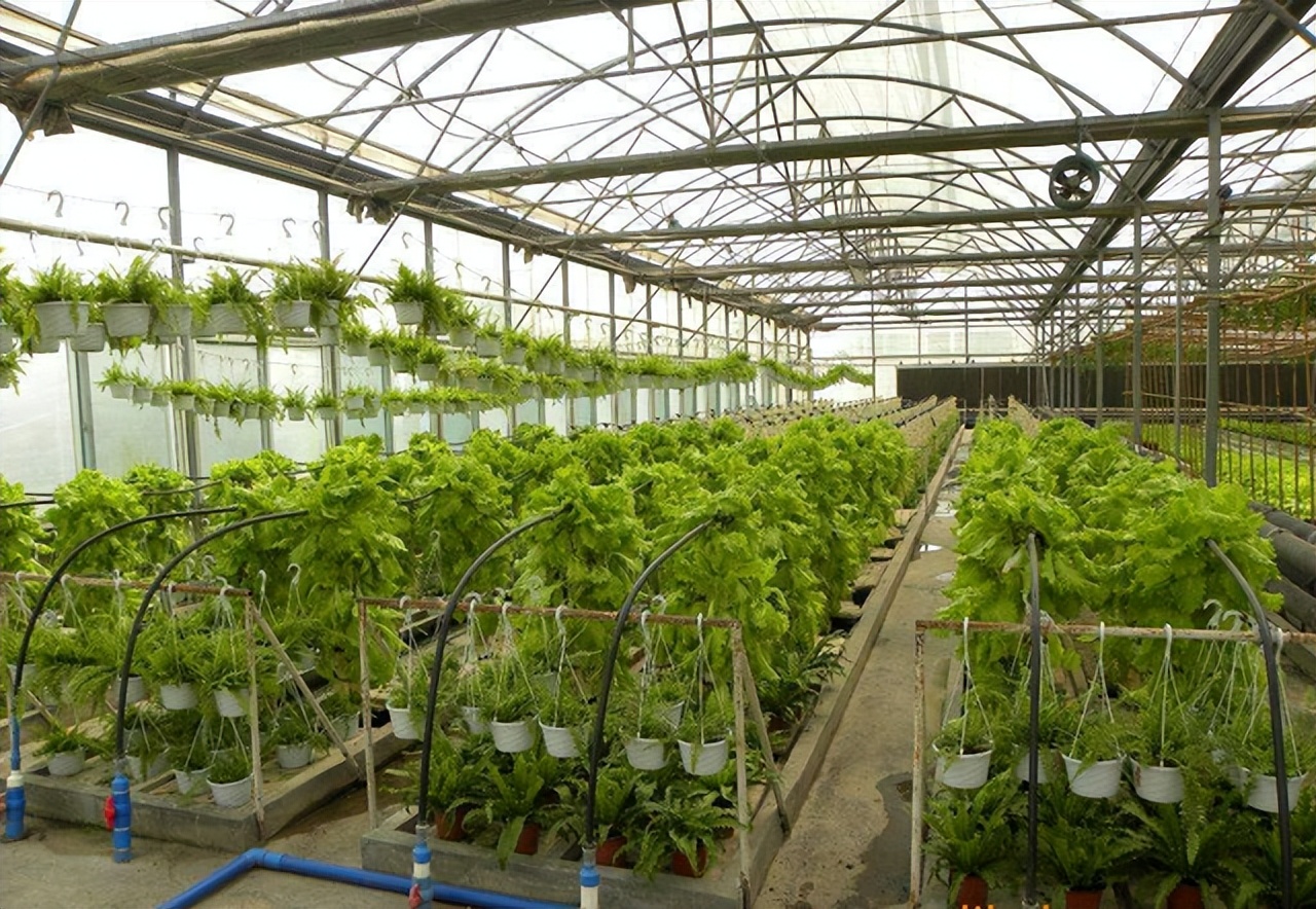 北京耕智农业智慧大棚精细化管理,增产增收