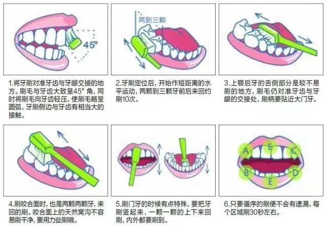 口腔护理的顺序图解图片